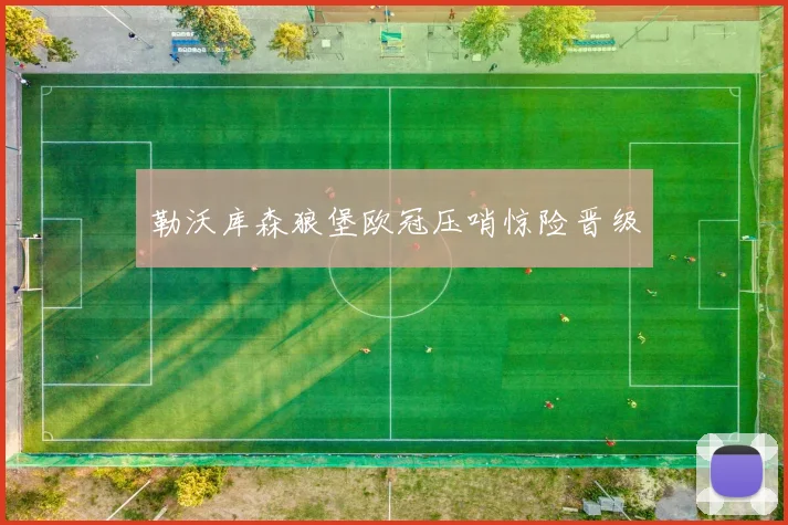 勒沃库森狼堡欧冠压哨惊险晋级