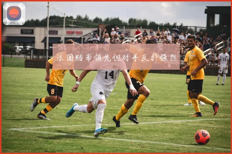 法国赔率领先但对手反扑强烈
