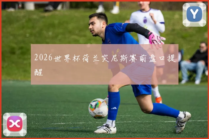 2026世界杯荷兰突尼斯赛前盘口提醒