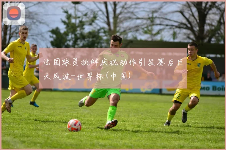 法国球员挑衅庆祝动作引发赛后巨大风波-世界杯(中国)