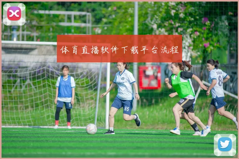 体育直播软件下载平台流程