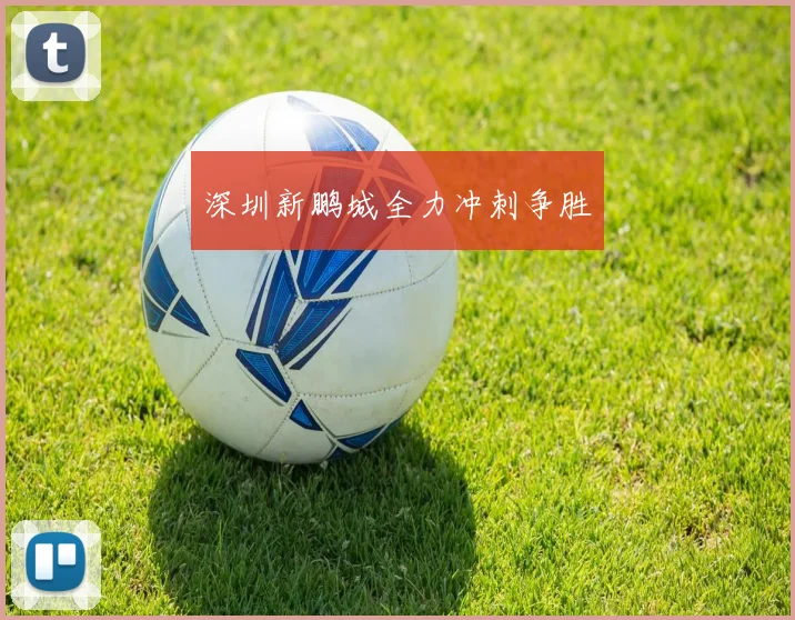 深圳新鹏城全力冲刺争胜