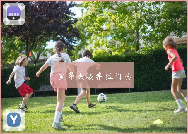 里昂决战弗拉门戈