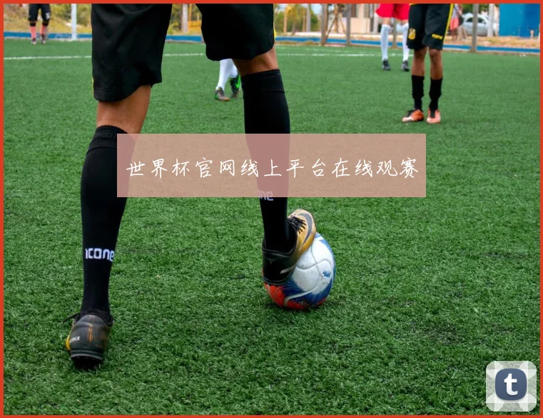 世界杯官网线上平台在线观赛