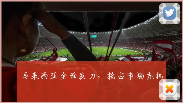 马来西亚全面发力，抢占市场先机