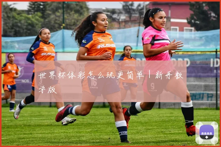世界杯体彩怎么玩更简单｜新手教学版