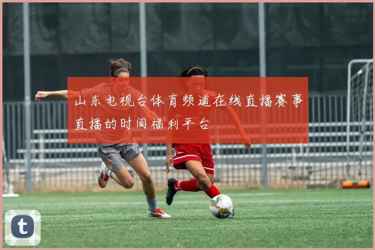 山东电视台体育频道在线直播赛事直播的时间福利平台