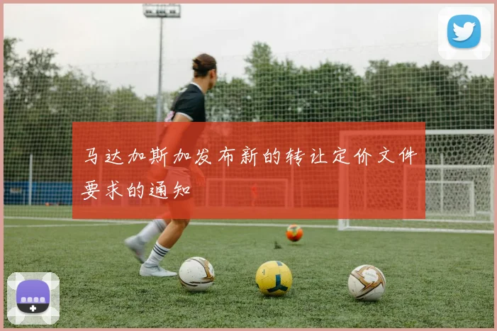 马达加斯加发布新的转让定价文件要求的通知
