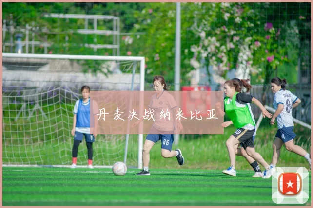 丹麦决战纳米比亚