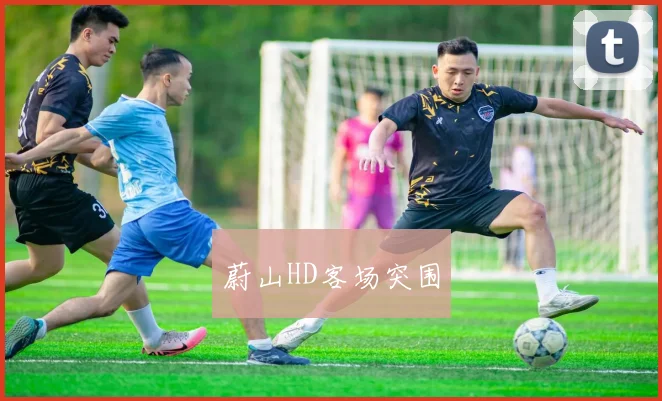 蔚山HD客场突围