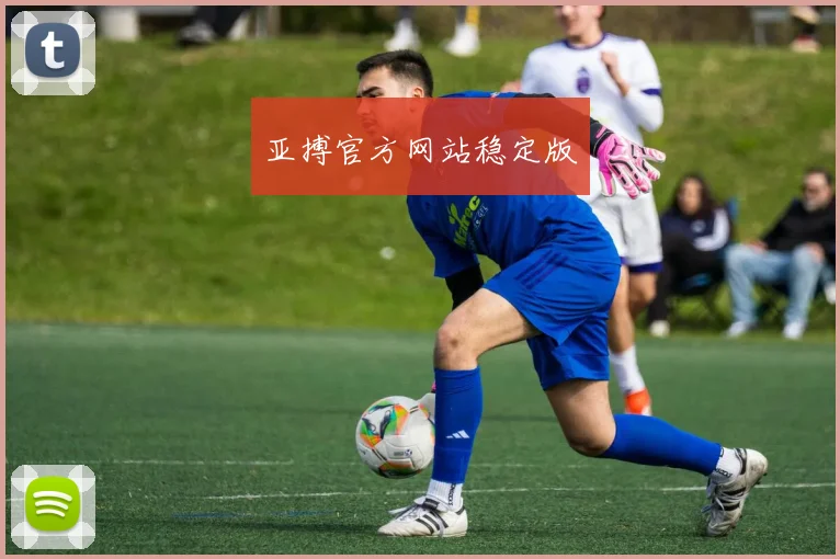 亚搏官方网站稳定版