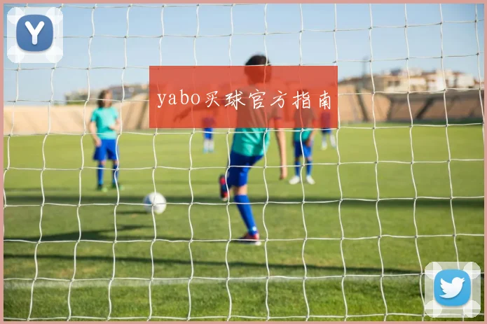 yabo买球官方指南