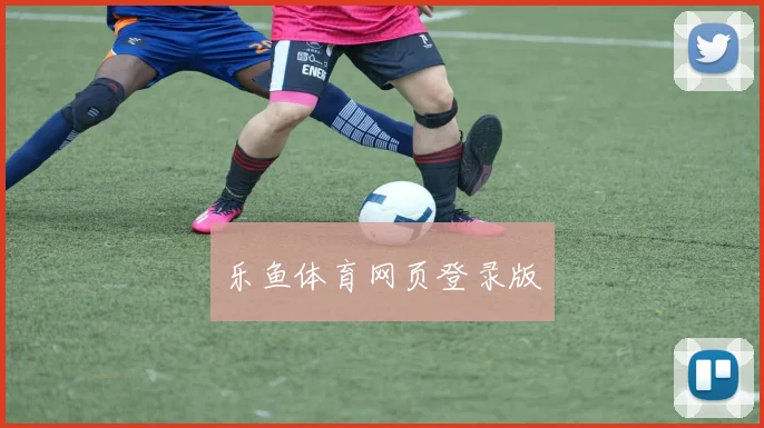 乐鱼体育网页登录版