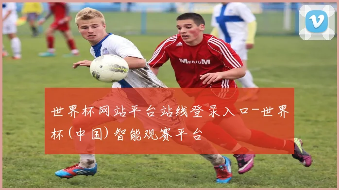 世界杯网站平台站线登录入口-世界杯(中国)智能观赛平台
