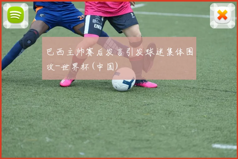巴西主帅赛后发言引发球迷集体围攻-世界杯(中国)