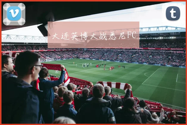 大连英博大战悉尼FC