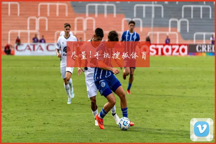 尽量!手机搜狐体育