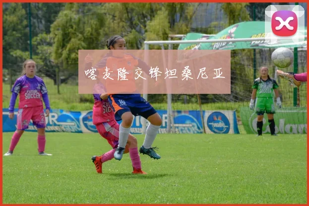 喀麦隆交锋坦桑尼亚