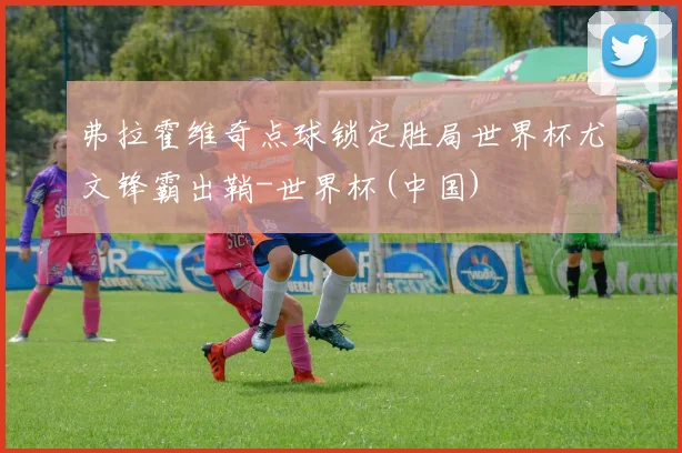 弗拉霍维奇点球锁定胜局世界杯尤文锋霸出鞘-世界杯(中国)