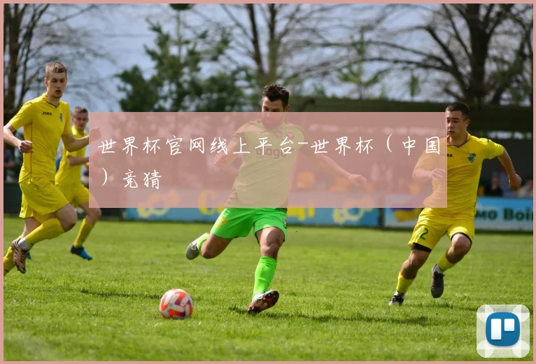 世界杯官网线上平台-世界杯（中国）竞猜