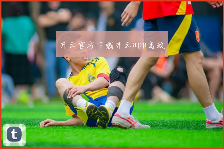 开云官方下载开云app高效