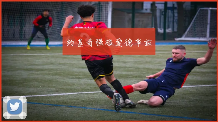 约基奇强碰爱德华兹