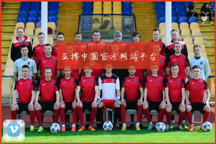 亚搏中国官方网站平台