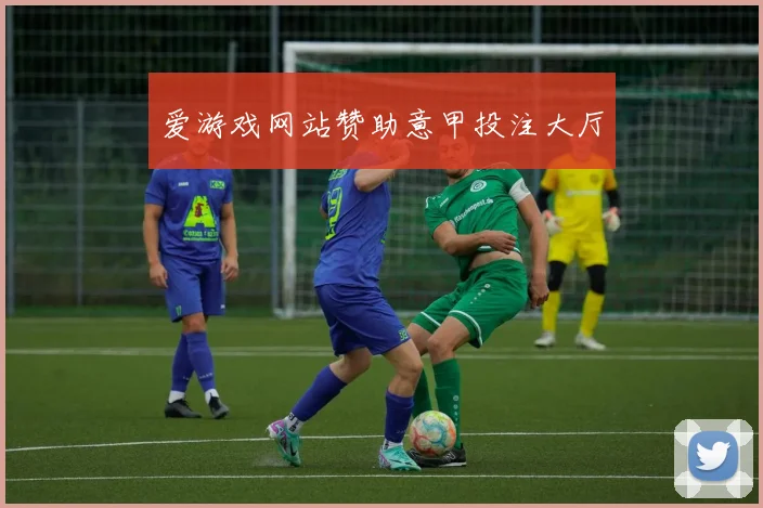 爱游戏网站赞助意甲投注大厅