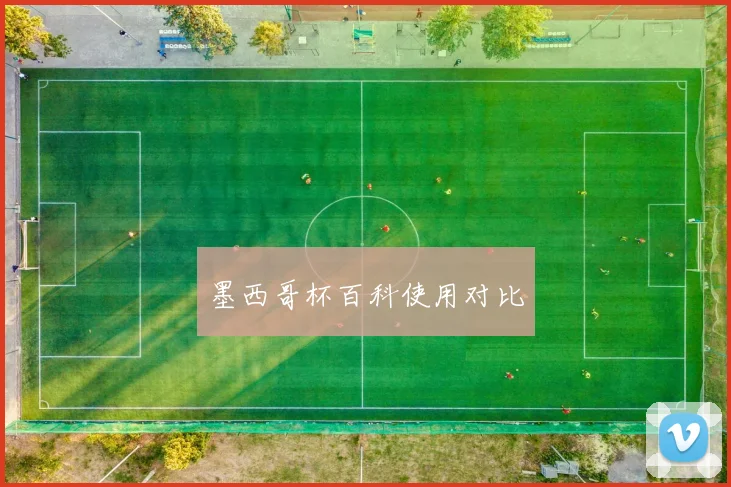 墨西哥杯百科使用对比