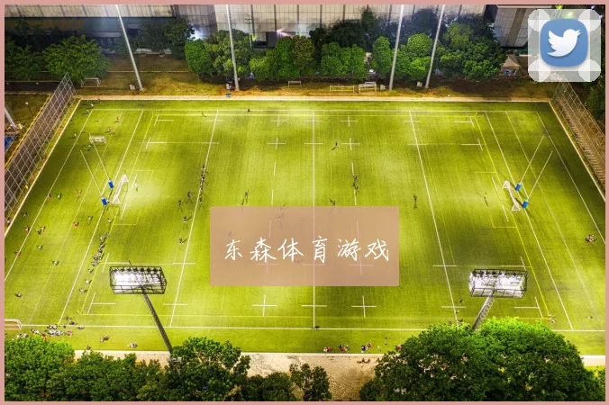 东森体育游戏