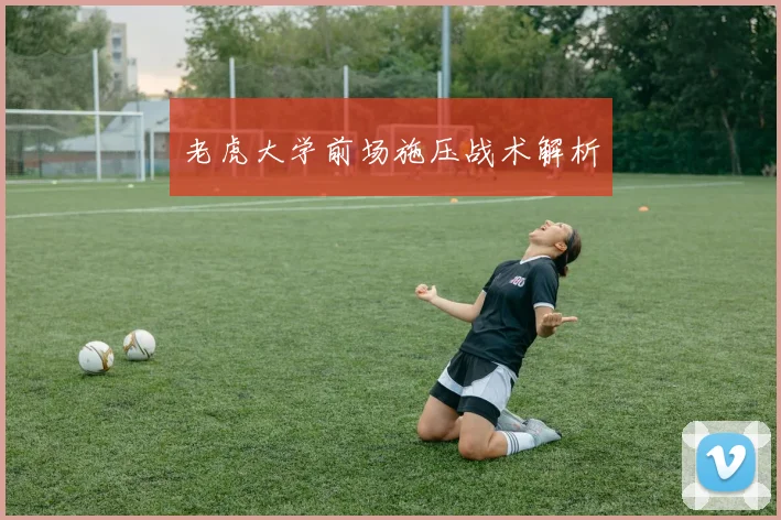老虎大学前场施压战术解析