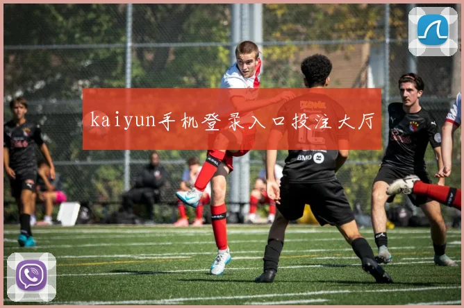 kaiyun手机登录入口投注大厅