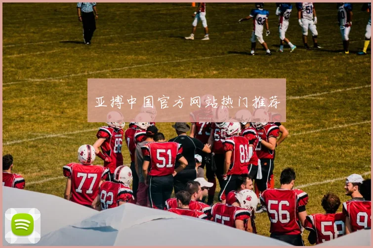 亚搏中国官方网站热门推荐