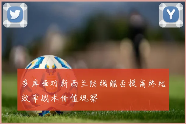 多库面对新西兰防线能否提高终结效率战术价值观察