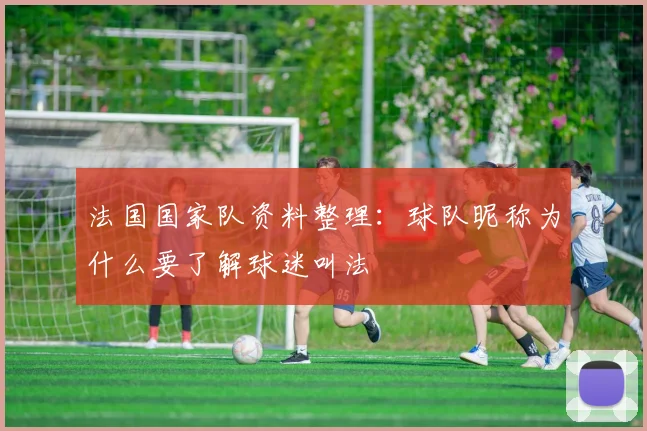 法国国家队资料整理：球队昵称为什么要了解球迷叫法