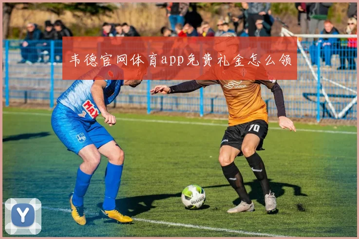 韦德官网体育app免费礼金怎么领