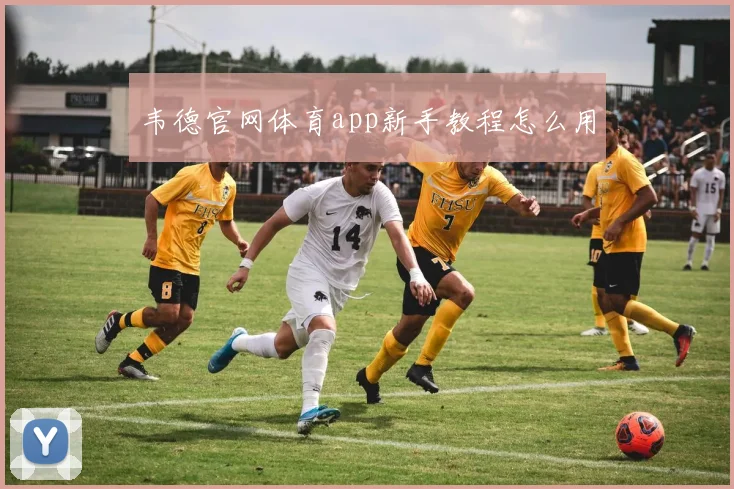 韦德官网体育app新手教程怎么用