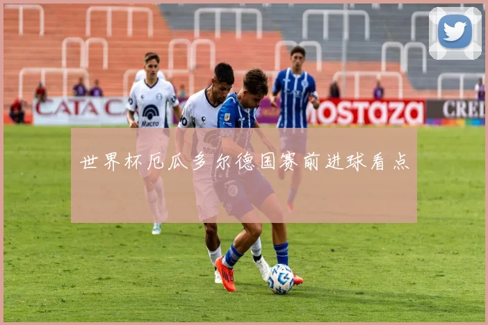 世界杯厄瓜多尔德国赛前进球看点