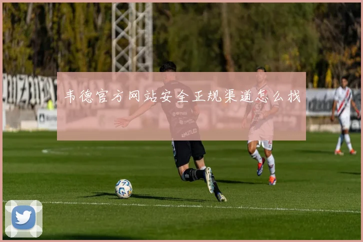 韦德官方网站安全正规渠道怎么找