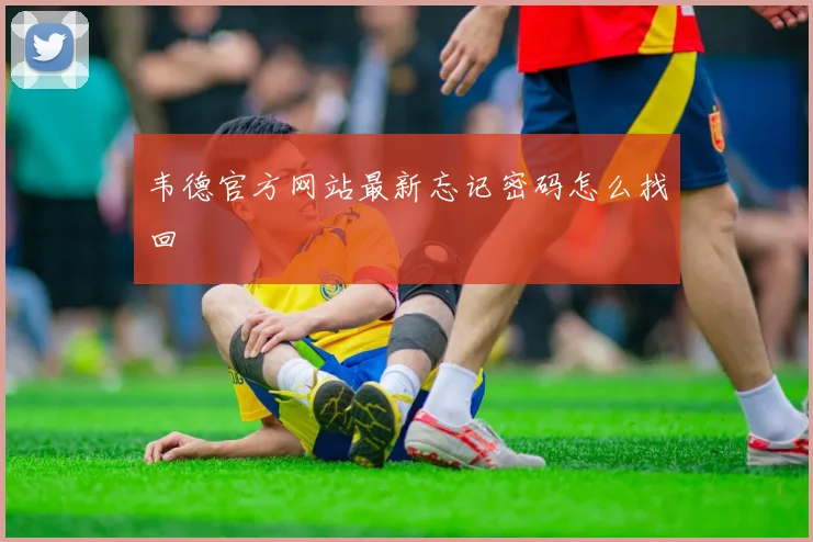 韦德官方网站最新忘记密码怎么找回